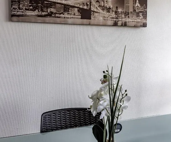 Cap Sud - 53m2- Vue Pyrenees- Hypercentre-wifi Fibre -nouvelle Literie Apartment *